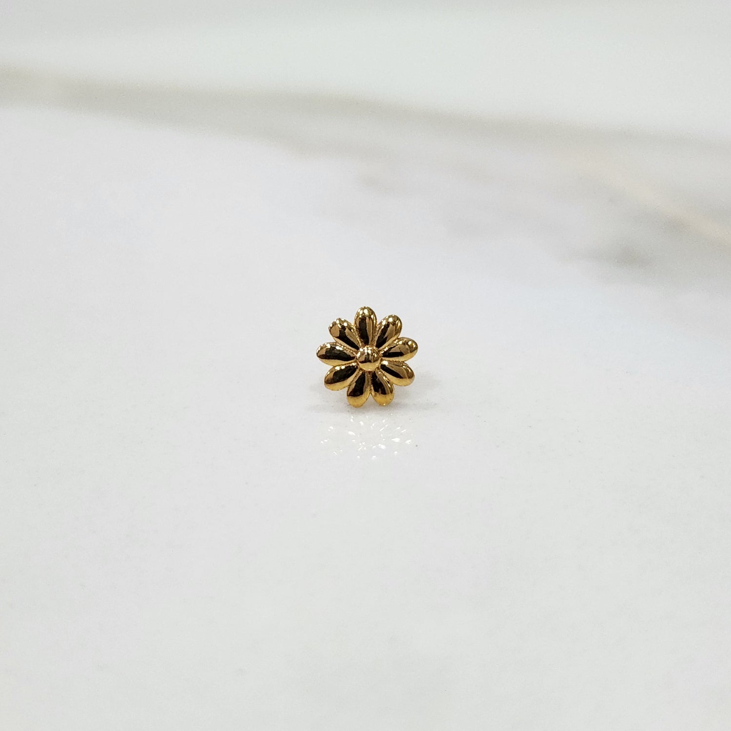 Daisy Radiance