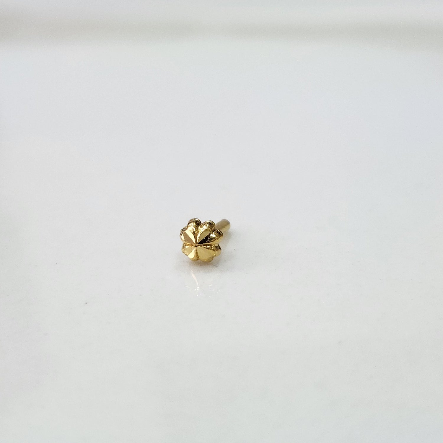 Lucky Clover