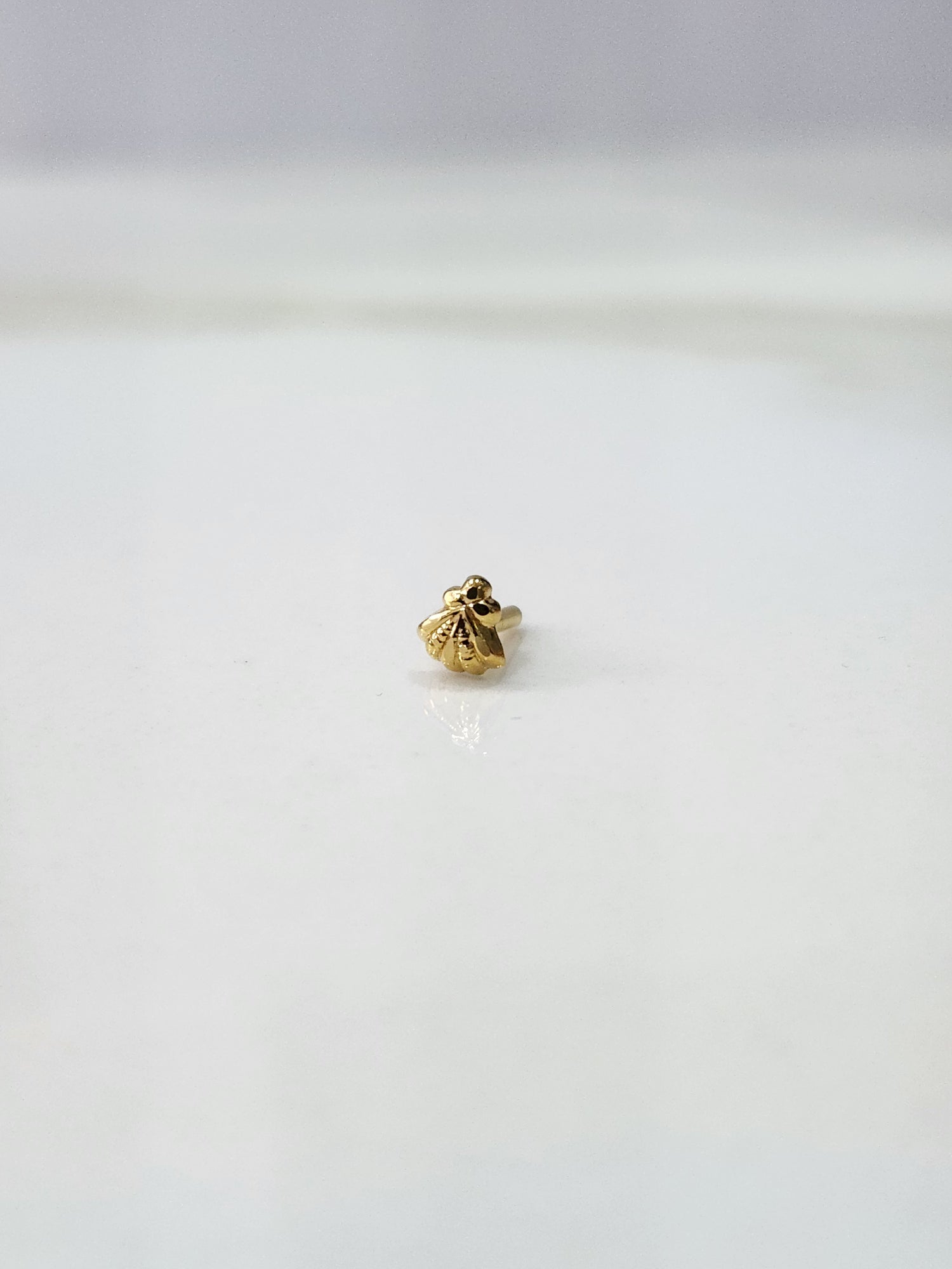 Shell Bloom