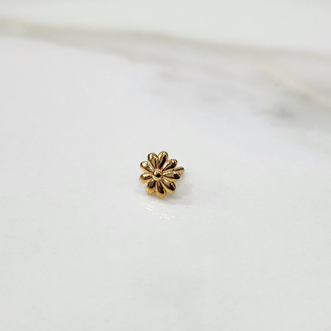 Daisy Radiance