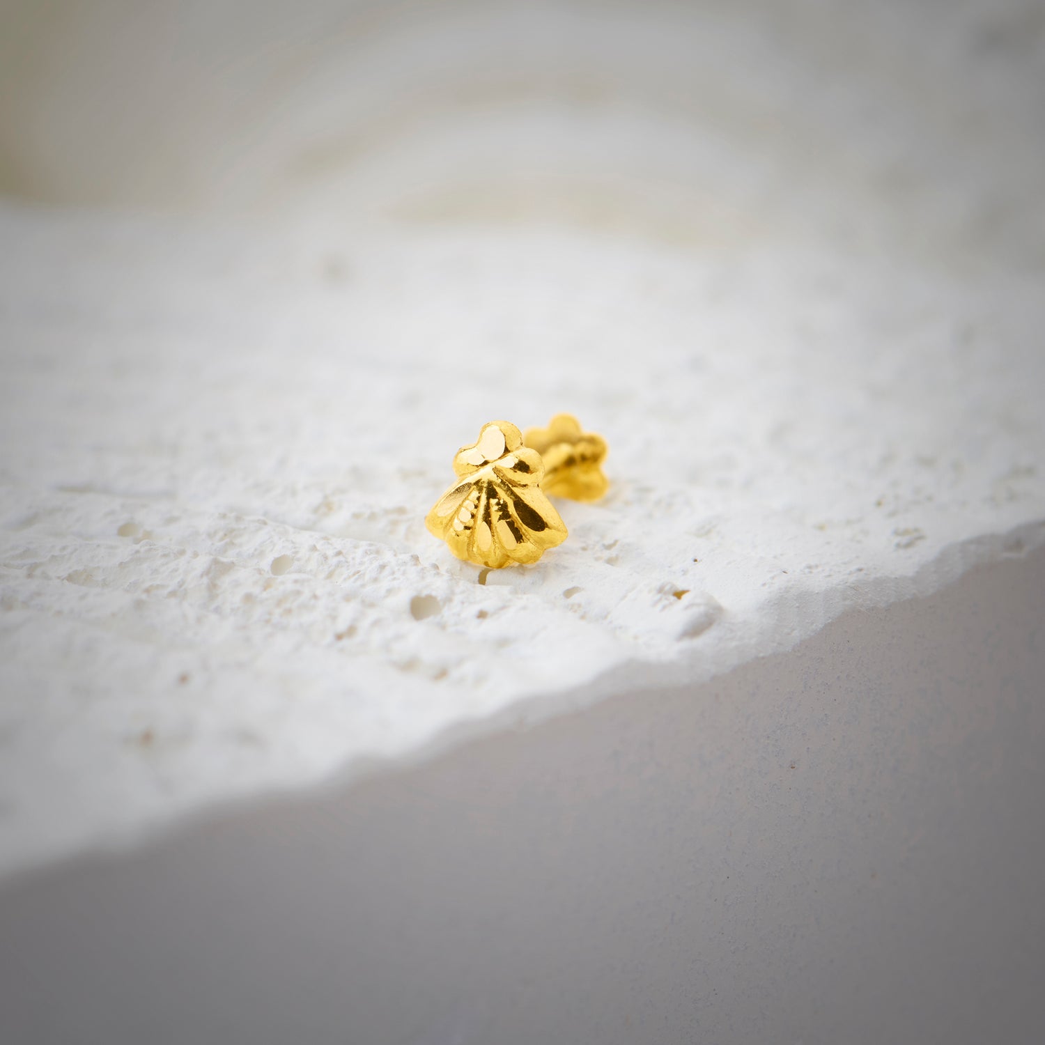 Shell Bloom
