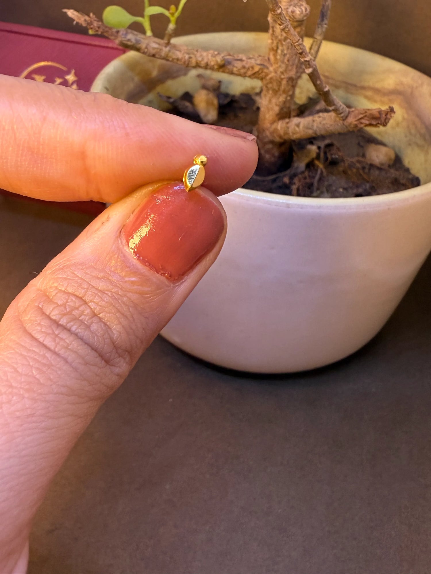 Leaf Pod Gold Nose Pin – Simple 18K Nose Pin Gold Design for Women