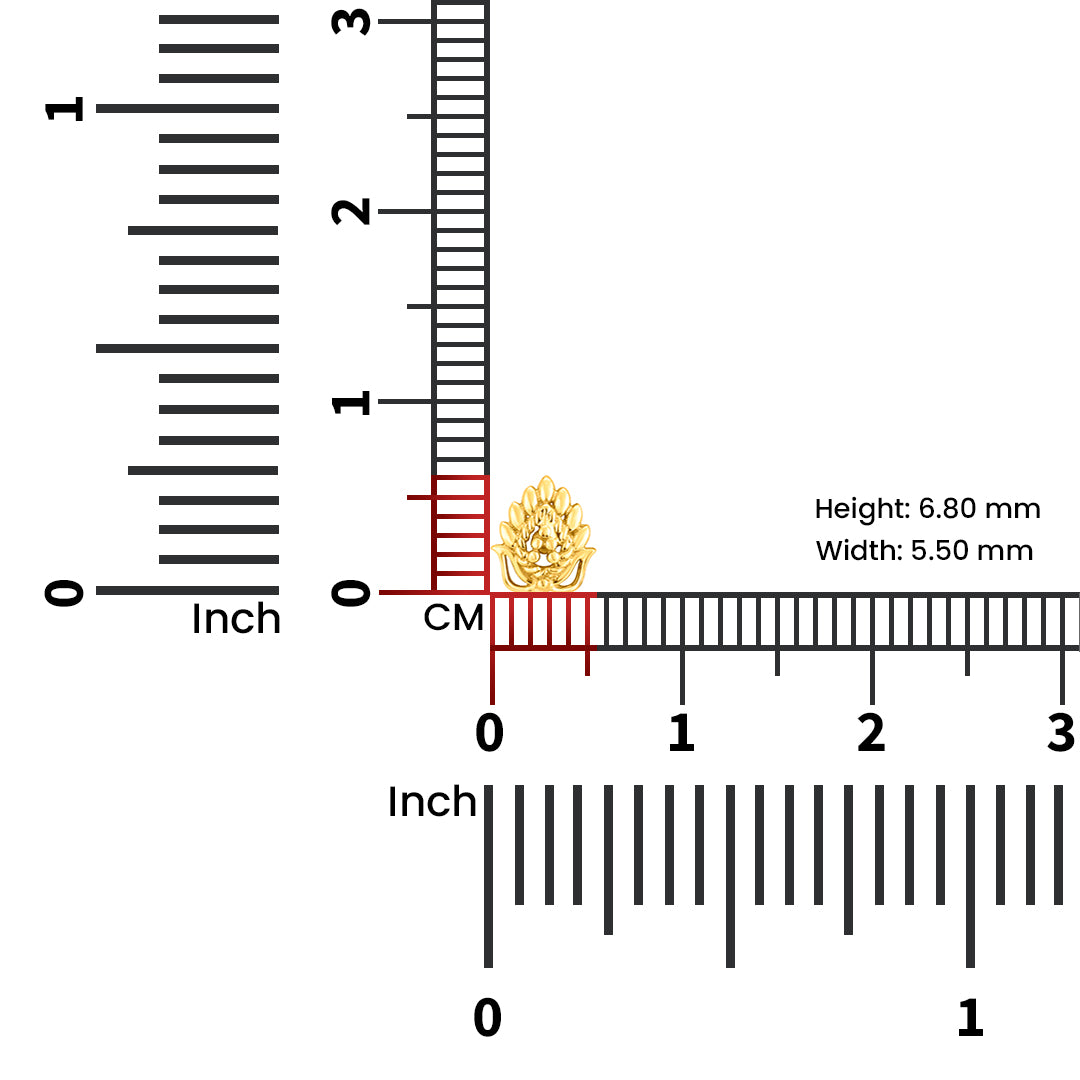 Peacock Plume gold nose pin with ruler scale showing dimensions height 6.80 mm and width 5.50 mm